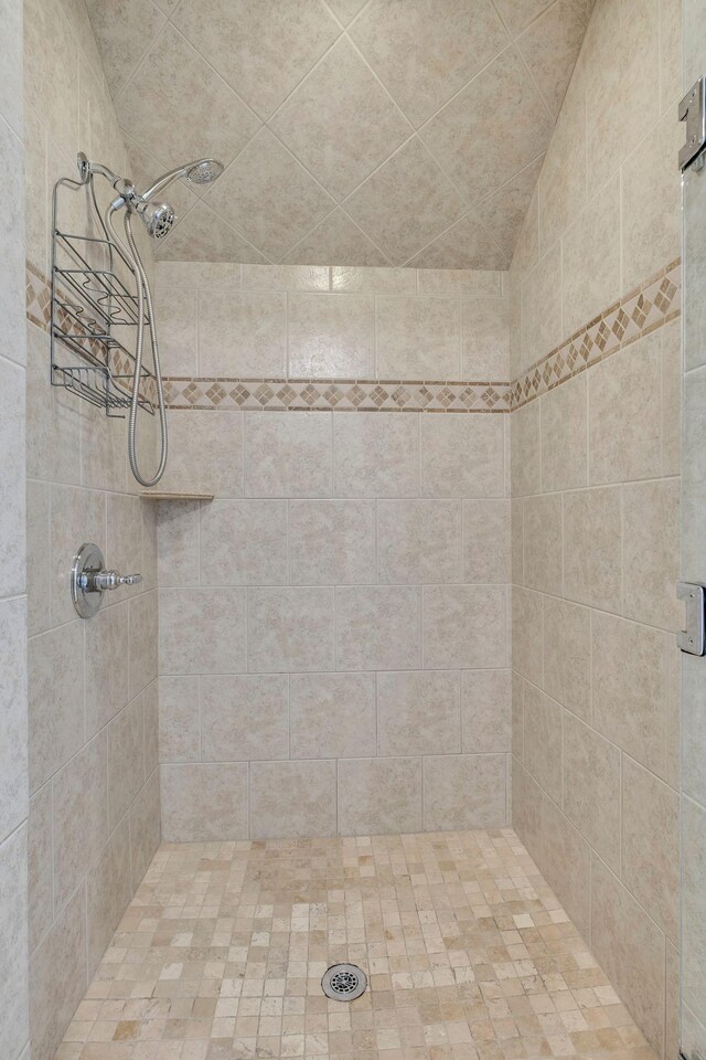 301 Brandywine Dr, Old Hickory, TN 37138 - full bathroom with a tile shower