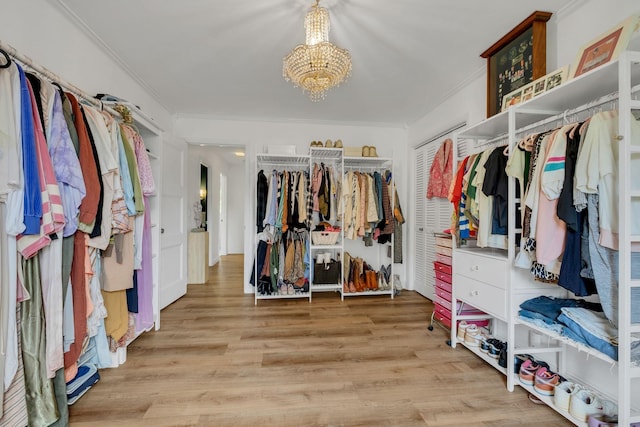 301 Brandywine Dr, Old Hickory, TN 37138 - walk in closet featuring a chandelier and wood finished floors