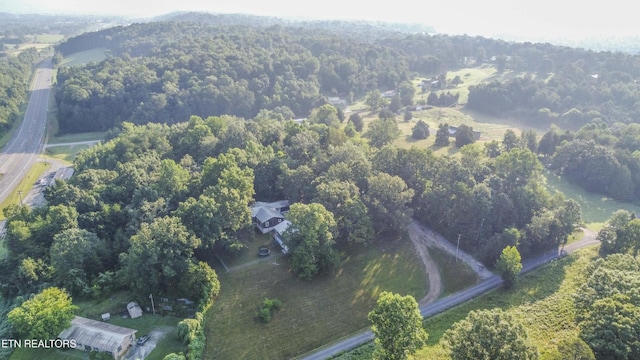 197 Wedgewood Ln, Spring City, TN 37381 - view of property location with a heavily wooded area