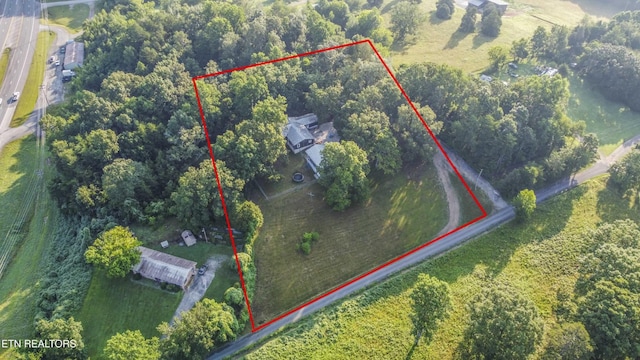 197 Wedgewood Ln, Spring City, TN 37381 - view of property location with property parcel outlined