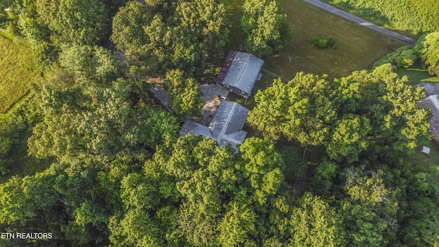 197 Wedgewood Ln, Spring City, TN 37381 - bird's eye view