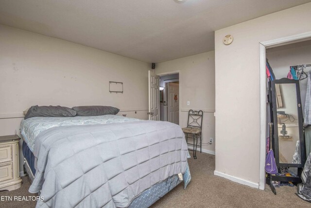 197 Wedgewood Ln, Spring City, TN 37381 - bedroom featuring carpet and baseboards