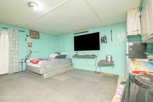 197 Wedgewood Ln, Spring City, TN 37381 - bedroom featuring a sink