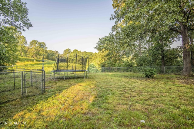 197 Wedgewood Ln, Spring City, TN 37381 - fenced backyard featuring a trampoline