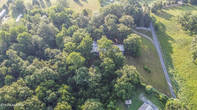 197 Wedgewood Ln, Spring City, TN 37381 - aerial overview of property's location