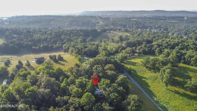 197 Wedgewood Ln, Spring City, TN 37381 - aerial overview of property's location with a heavily wooded area