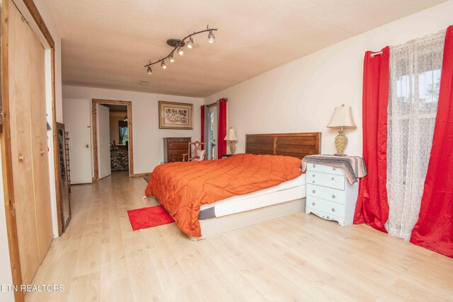 197 Wedgewood Ln, Spring City, TN 37381 - bedroom featuring light wood-type flooring