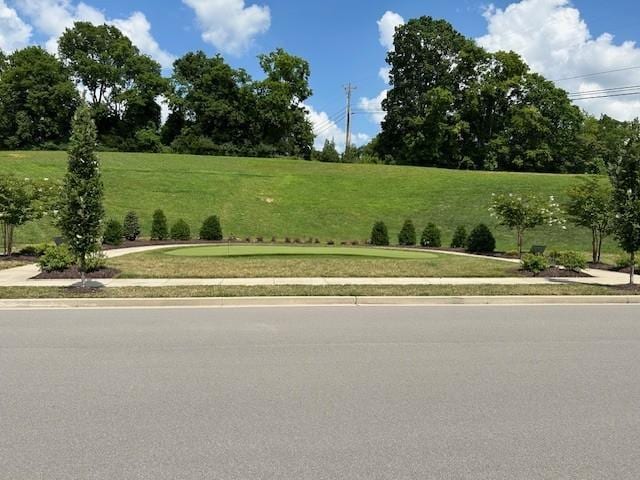 118 Jane Xing, Mount Juliet, TN 37122 - photo 33