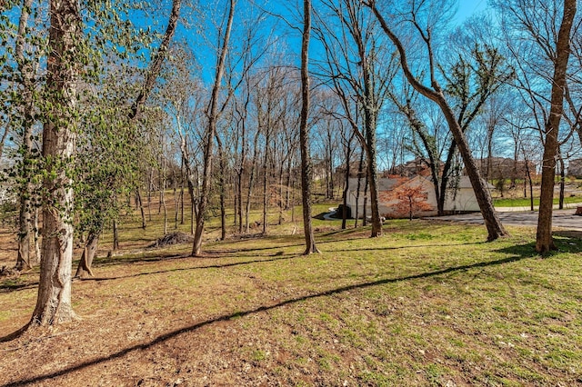 103 Elizer St, Hendersonville, TN 37075 - photo 75