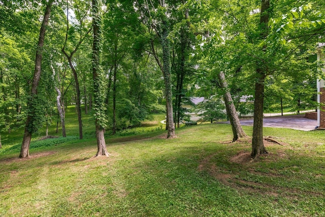 103 Elizer St, Hendersonville, TN 37075 - photo 17