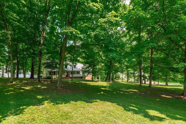103 Elizer St, Hendersonville, TN 37075 - photo 3