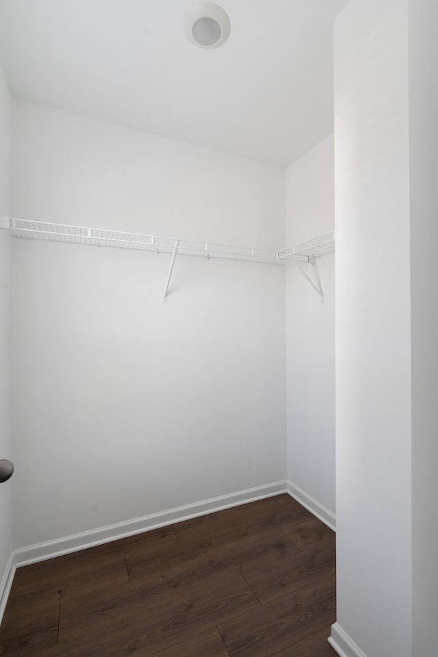 241 Tara Ct, Columbia, TN 38401 - spacious closet featuring wood finished floors