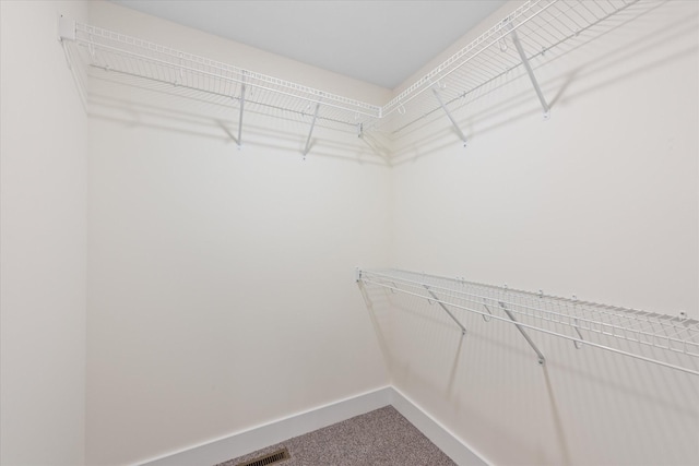1601 Collins View Way, Clarksville, TN 37043 - photo 23