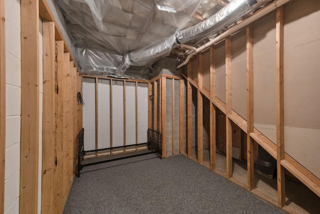 2785 Rutland Ct, Thompsons Station, TN 37179 - view of unfinished below grade area