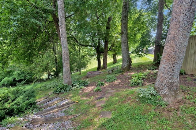 2785 Rutland Ct, Thompsons Station, TN 37179 - view of yard
