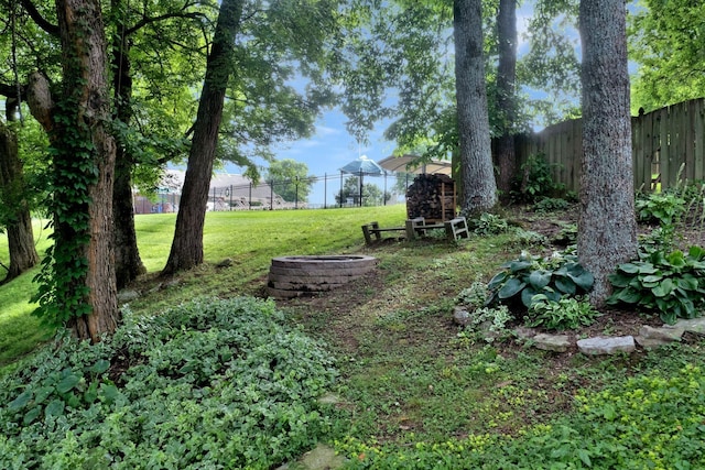2785 Rutland Ct, Thompsons Station, TN 37179 - view of yard