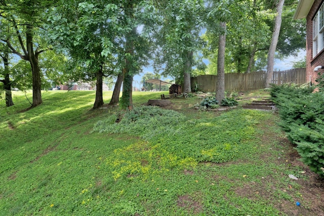 2785 Rutland Ct, Thompsons Station, TN 37179 - view of yard