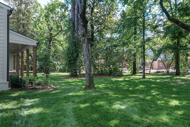 607 Bowling Ave, Nashville, TN 37215 - photo 59