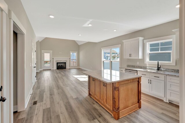 1071 Camden Trl, Greenbrier, TN 37073 - photo 8