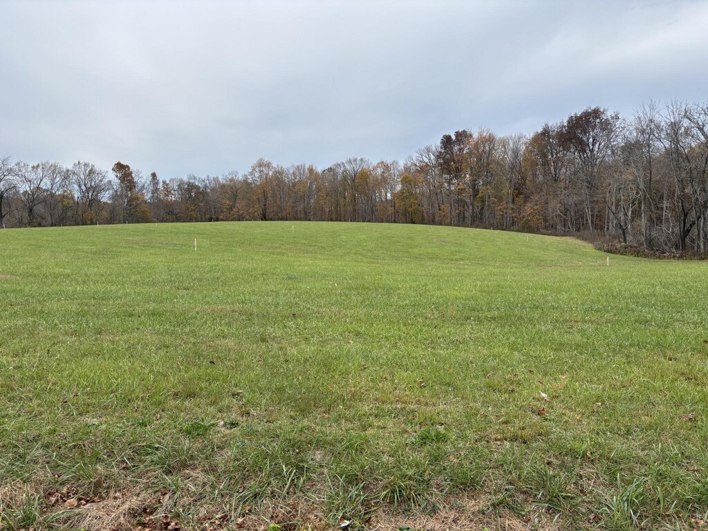 10 Hanestown, Lafayette, TN 37083