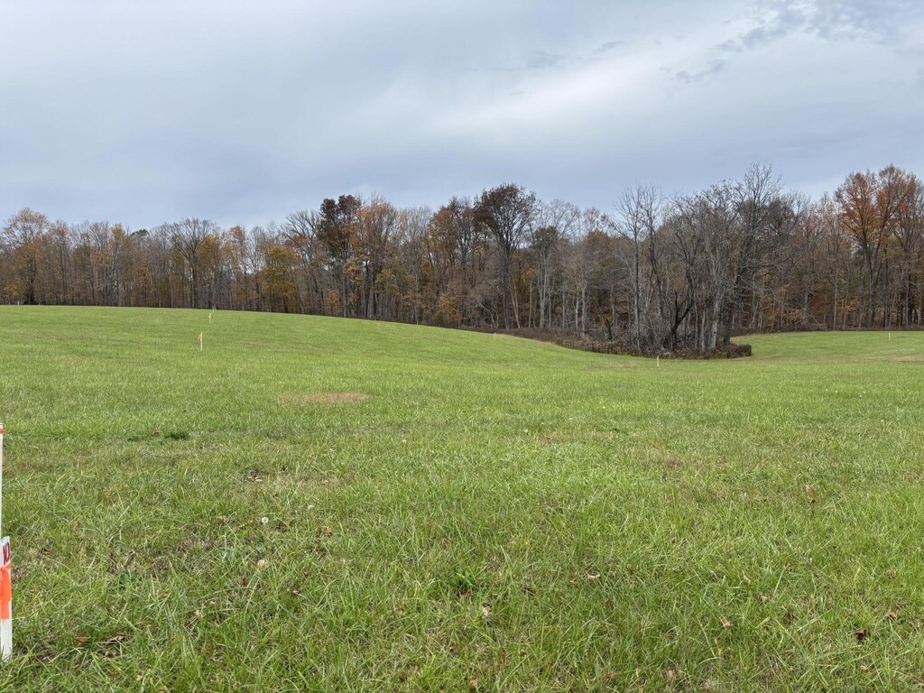 10 Hanestown, Lafayette, TN 37083