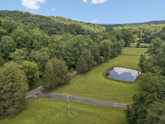 584 Mccord Hollow Rd, Hohenwald, TN 38462 - bird's eye view of a forest and a nearby body of water