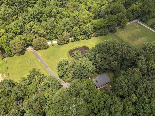 584 Mccord Hollow Rd, Hohenwald, TN 38462 - view of property location with a forest and rural landscape
