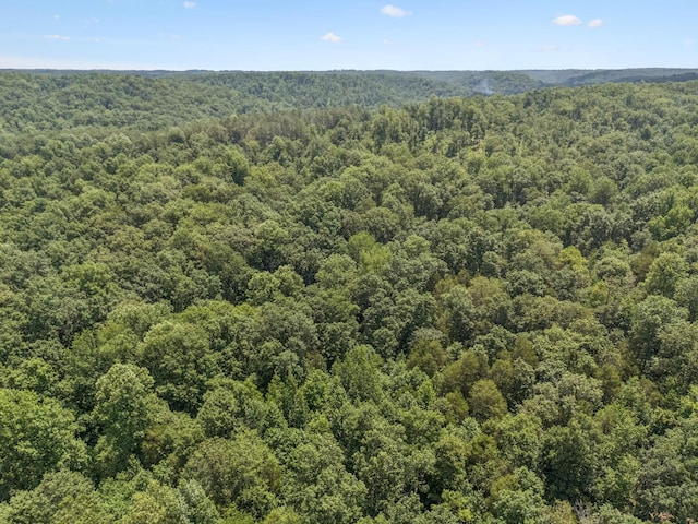 584 Mccord Hollow Rd, Hohenwald, TN 38462 - aerial view of a forest