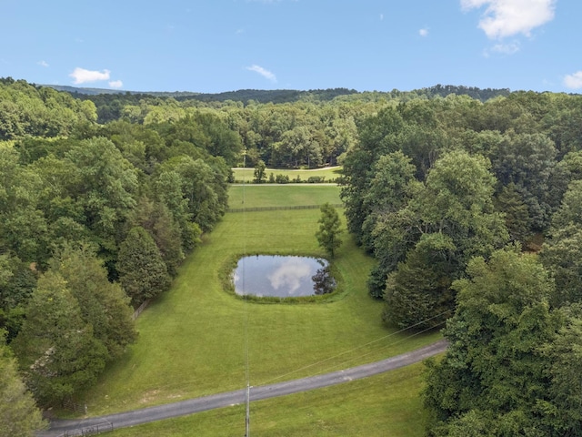 584 Mccord Hollow Rd, Hohenwald, TN 38462 - aerial view of a forest and a large body of water