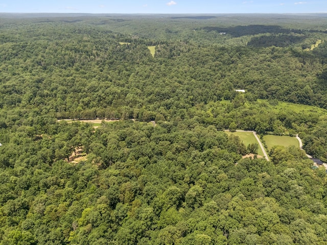 584 Mccord Hollow Rd, Hohenwald, TN 38462 - bird's eye view of a heavily wooded area