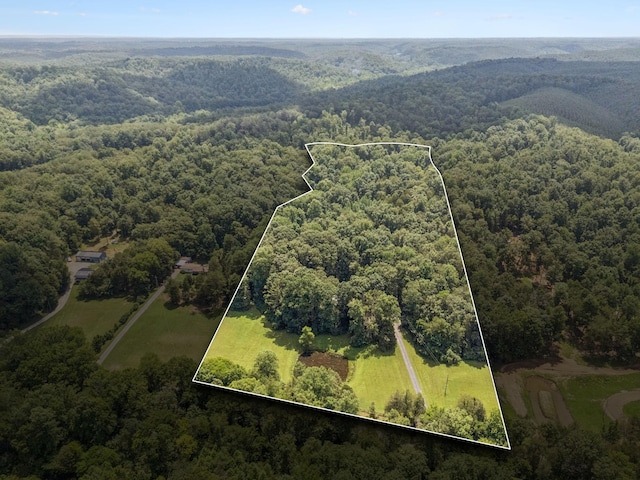 584 Mccord Hollow Rd, Hohenwald, TN 38462 - aerial overview of property's location featuring property boundaries highlighted