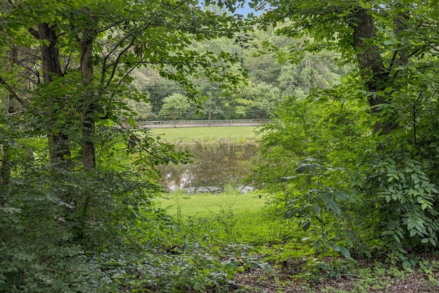 584 Mccord Hollow Rd, Hohenwald, TN 38462 - water view with a heavily wooded area