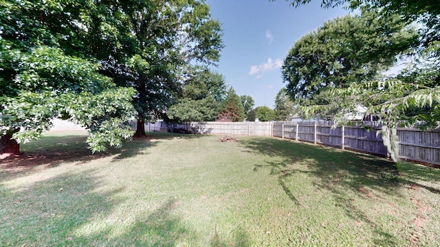 2806 Holsted Dr, Murfreesboro, TN 37128 - view of fenced backyard