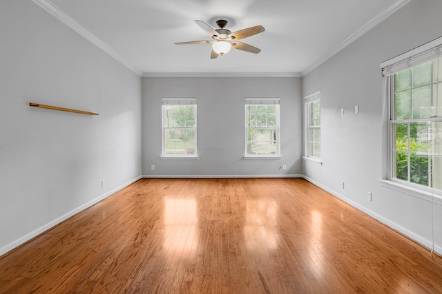 809 Barrington Place Dr, Brentwood, TN 37027 - photo 5