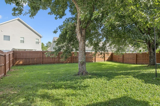 2016 Golden Ct, Spring Hill, TN 37174 - view of fenced backyard