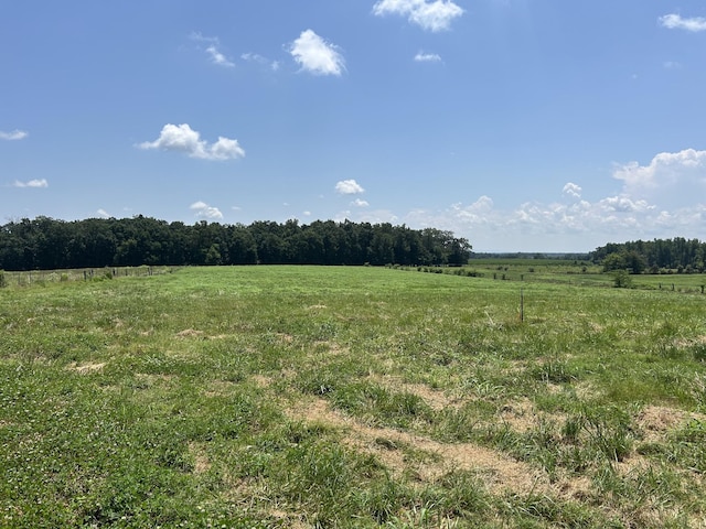 0 Goosepond Rd, Manchester, TN 37355 - photo 3