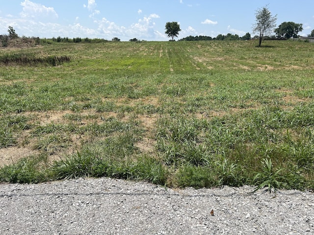 0 Goosepond Rd, Manchester, TN 37355 - photo 7
