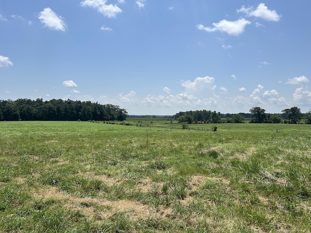 0 Goosepond Rd, Manchester, TN 37355 - photo 4