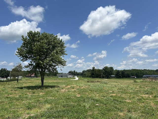 0 Goosepond Rd, Manchester, TN 37355 - photo 8
