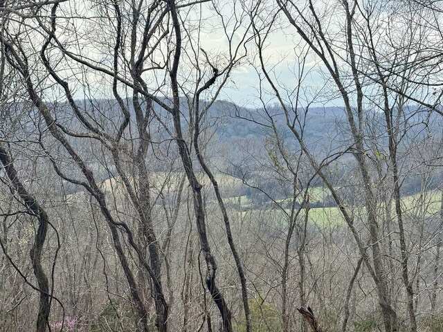 2663 Clear Fork Rd, Liberty, TN 37095 - photo 45