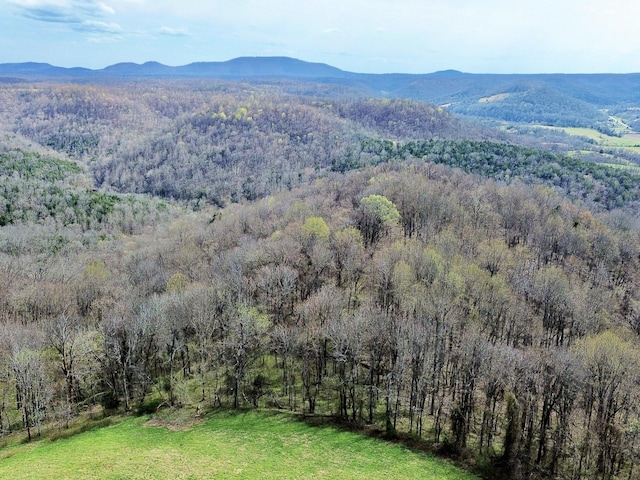 2663 Clear Fork Rd, Liberty, TN 37095 - photo 24