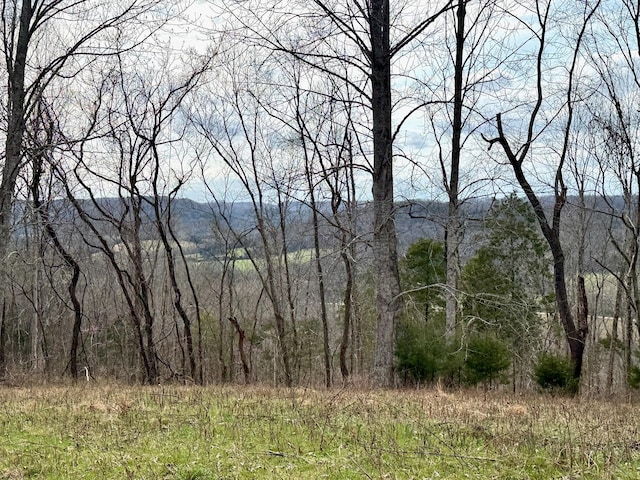 2663 Clear Fork Rd, Liberty, TN 37095 - photo 27