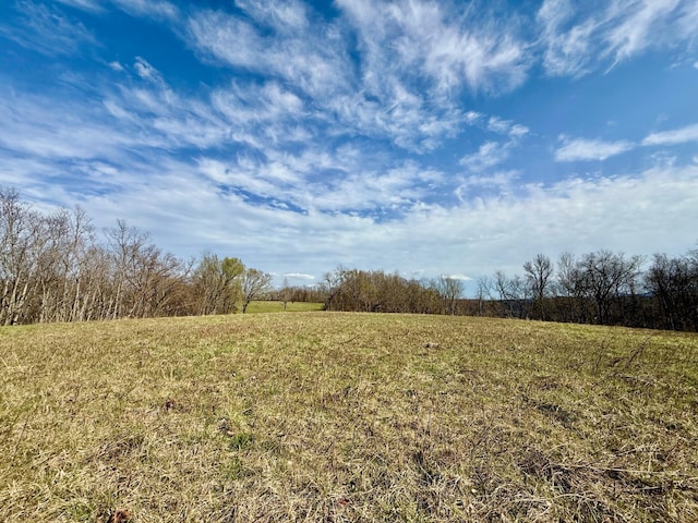 2663 Clear Fork Rd, Liberty, TN 37095 - photo 30