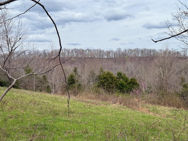 2663 Clear Fork Rd, Liberty, TN 37095 - photo 42