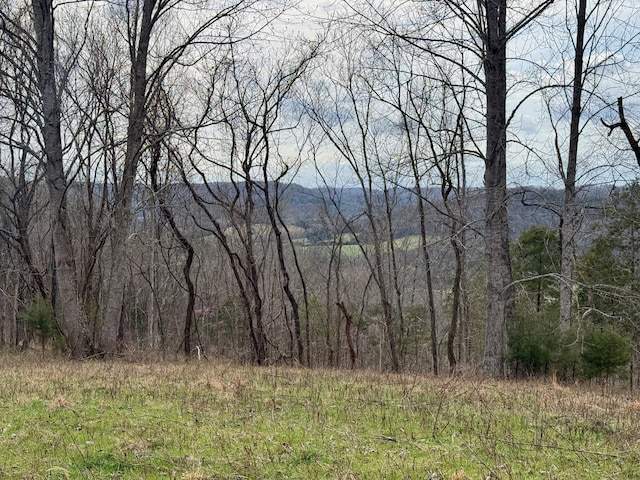 2663 Clear Fork Rd, Liberty, TN 37095 - photo 39