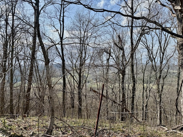 2663 Clear Fork Rd, Liberty, TN 37095 - photo 29