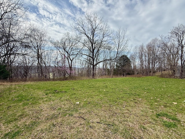 2663 Clear Fork Rd, Liberty, TN 37095 - photo 34
