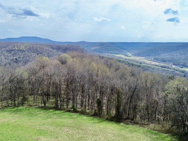 2663 Clear Fork Rd, Liberty, TN 37095 - photo 35