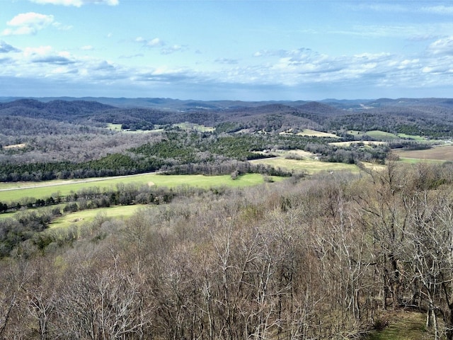 2663 Clear Fork Rd, Liberty, TN 37095 - photo 31