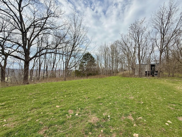 2663 Clear Fork Rd, Liberty, TN 37095 - photo 25